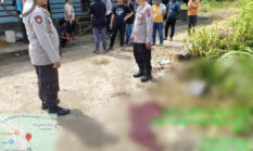 berita-pilihan-foto